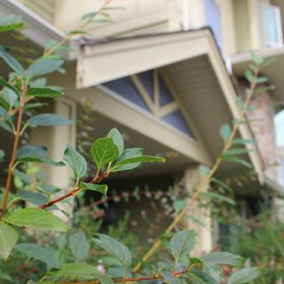 building 6 photograph